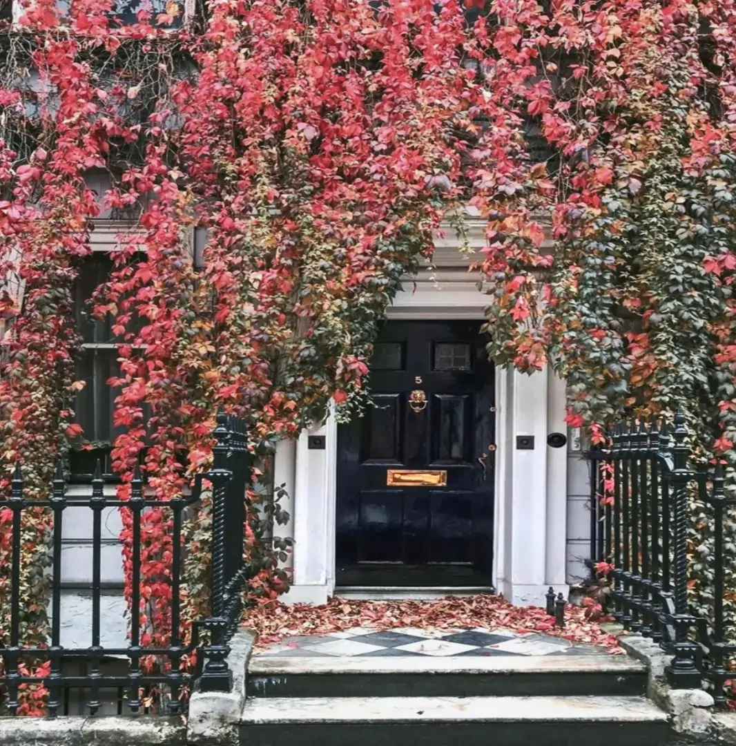 picsart خرید اشتراک